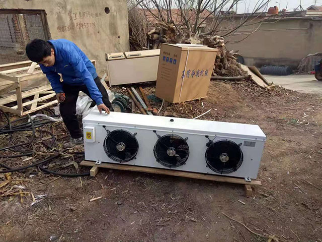 成功案例