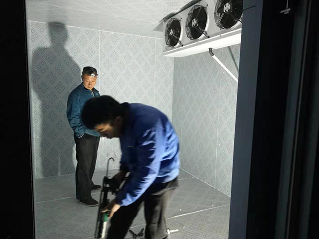 成功案例